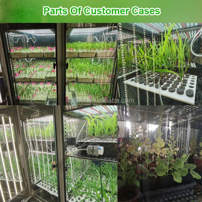 Incubateur artificiel de boîte de croissance de plantes de machine de germination de graine de climat de chambre de croissance de plantes de LIYI