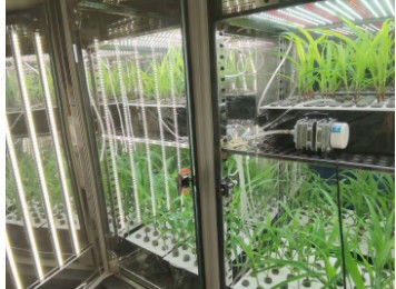 Chambre de croissance des plantes LIYI Machine de germination des graines climatiques artificielles Chambre climatique Chambres environnementales