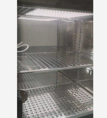 Incubateur artificiel de boîte de croissance de plantes de machine de germination de graine de climat de chambre de croissance de plantes de LIYI