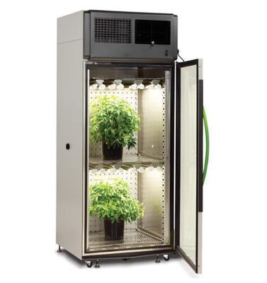 Liyi Climat programmable semences de plantes de croissance de fleurs germination incubateur chambre environnementale
