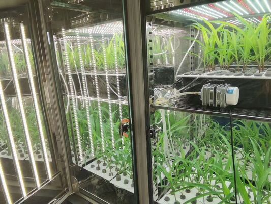 Liyi Climat programmable semences de plantes de croissance de fleurs germination incubateur chambre environnementale